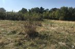 Land for sale at Camino Pelayos, Sotosalbos, Segovia, 40170 with sky, plant, natural landscape, vegetation, tree, grass, landscape, twig, shrub and meadow around