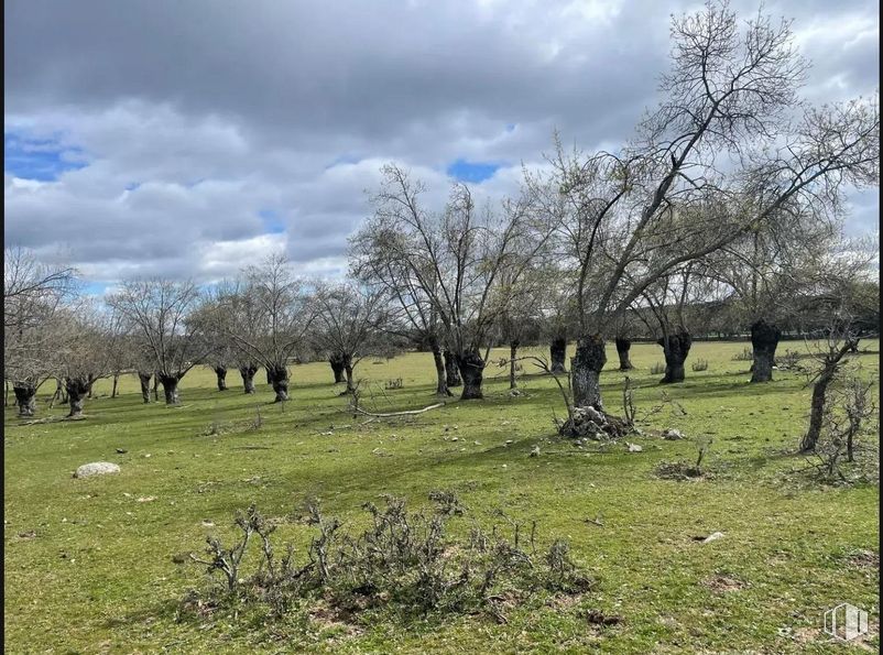 Suelo en venta en Polígono 2 Parcela 4 - Agua de San Martín, Galapagar, Madrid, 28280 con nube, cielo, planta, paisaje natural, árbol, hierba, llano, pradera, paisaje y maletero alrededor