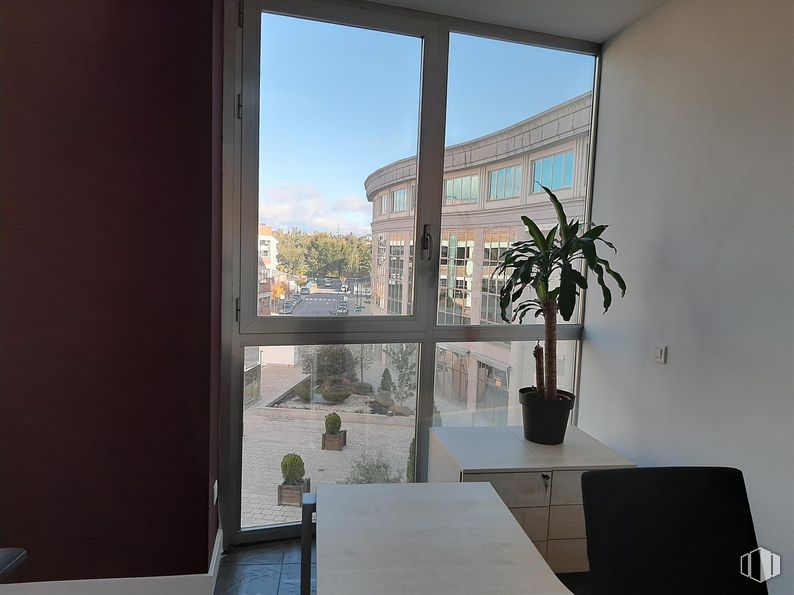 Oficina en alquiler y venta en Edificio Altagracia I, Calle Segundo Mata, 1, Pozuelo de Alarcón, Madrid, 28224 con planta de interior, ventana, mesa, maceta, edificio, propiedad, planta, cielo, mesa y sombra alrededor