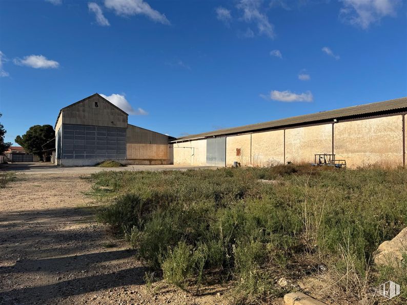 Suelo en venta en Calle Real, 186, Corral de Almaguer, Toledo, 45880 con hierba, pared, arquitectura, ecorregión, llano, paisaje, lote de terreno, zona rural, tejado y material compuesto alrededor