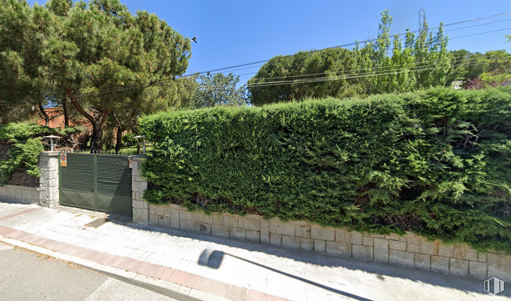 Suelo en venta en Calle Valleja, 17, Moralzarzal, Madrid, 28411 con planta, cielo, propiedad, lote de terreno, vegetación, hierba, cobertura, superficie de la carretera, planta leñosa y árbol alrededor