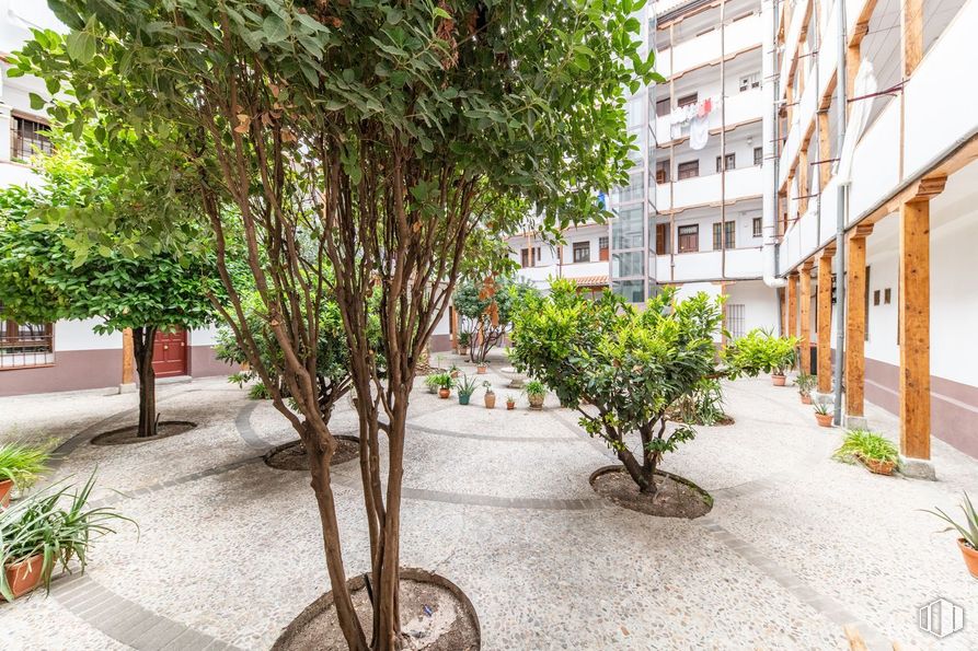 Retail for sale at Zona Pacífico, Retiro, Madrid, 28007 with plant, building, branch, vegetation, tree, urban design, window, flowerpot, woody plant and real estate around