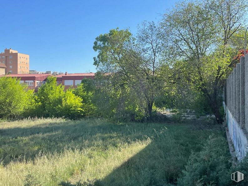 Suelo en venta en Calle Córdoba, Alcalá de Henares, Madrid, 28804 con edificio, planta, cielo, comunidad vegetal, ventana, paisaje natural, lote de terreno, vegetación, luz solar y árbol alrededor