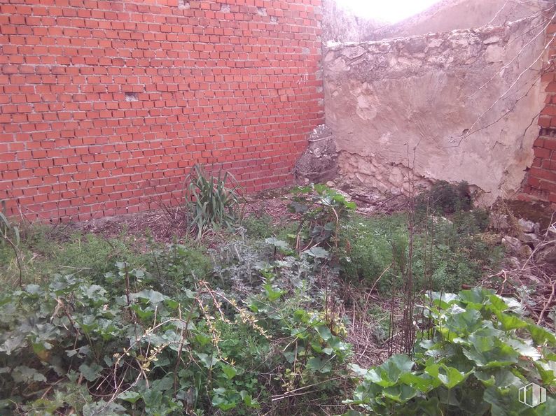 Suelo en venta en Calle Aranjuez, Colmenar de Oreja, Madrid, 28380 con planta, comunidad vegetal, hierba, lote de terreno, bioma, ladrillo, albañilería, arbusto, cubierta vegetal y paisaje alrededor