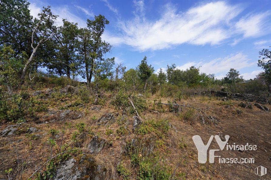 Land for sale at Polígono 9, Parcela 19, Campillo de Ranas, Guadalajara, 19223 with cloud, sky, plant, natural landscape, tree, terrestrial plant, mountainous landforms, landscape, grassland and grass around