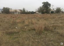 Suelo en venta en Calle Sierra de San Vicente, Illescas, Toledo, 45200 con casa, cielo, planta, propiedad, comunidad de plantas, entorno natural, paisaje natural, árbol, lote de tierra y pastizal alrededor