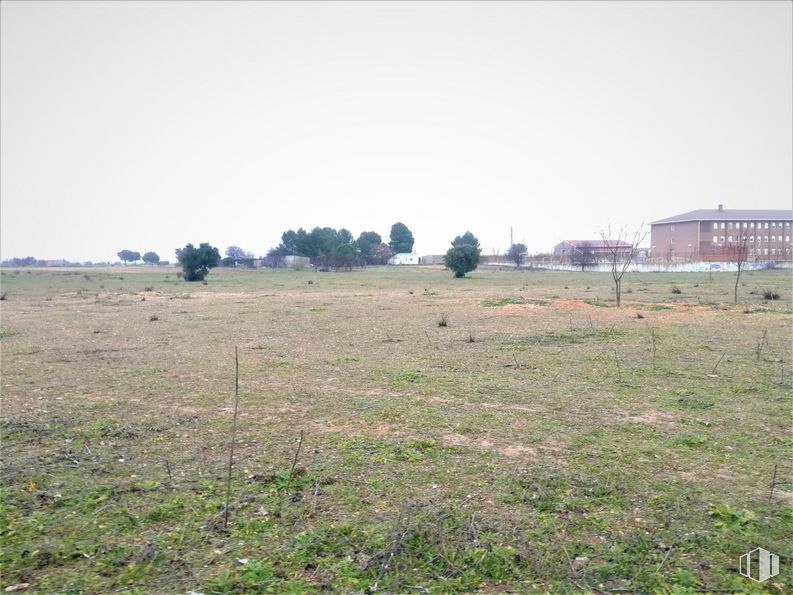 Suelo en venta en Polígono industrial El Zárate, Villarejo de Salvanés, Madrid, 28590 con edificio, cielo, planta, paisaje natural, árbol, hierba, llanura, pastizal, paisaje y familia de césped alrededor