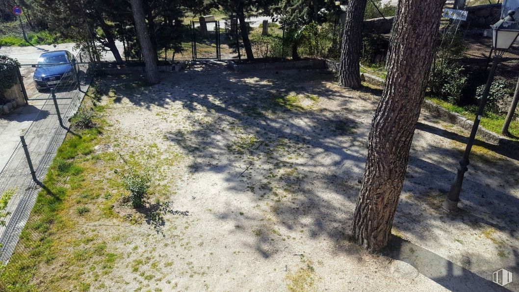 Retail for sale at Zona La Pedriza, Manzanares el Real, Madrid, 28410 with car, plant, plant community, tree, branch, shade, road surface, natural landscape, land lot and vegetation around