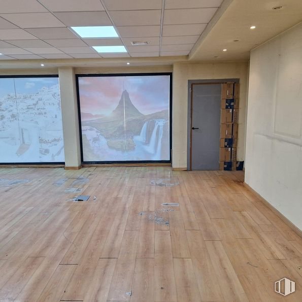 Retail for rent at Avenida Pablo Iglesias, Alcobendas, Madrid, 28100 with door, painting, picture frame, light fixture, flooring, floor, wood, ceiling, wood flooring and interior design around