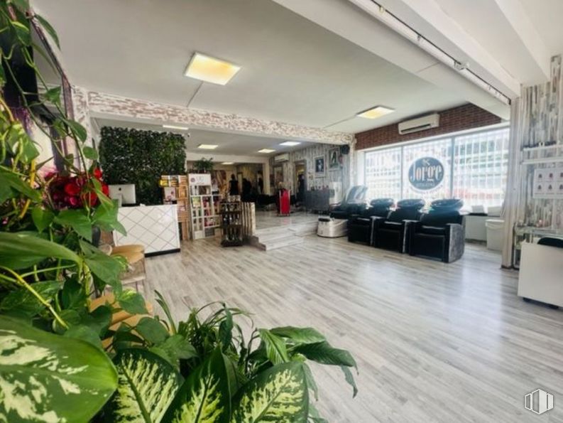 Retail for rent at Calle Real, Torrelodones, Madrid, 28250 with plant, building, houseplant, terrestrial plant, flooring, hall, ceiling, event, city and hardwood around