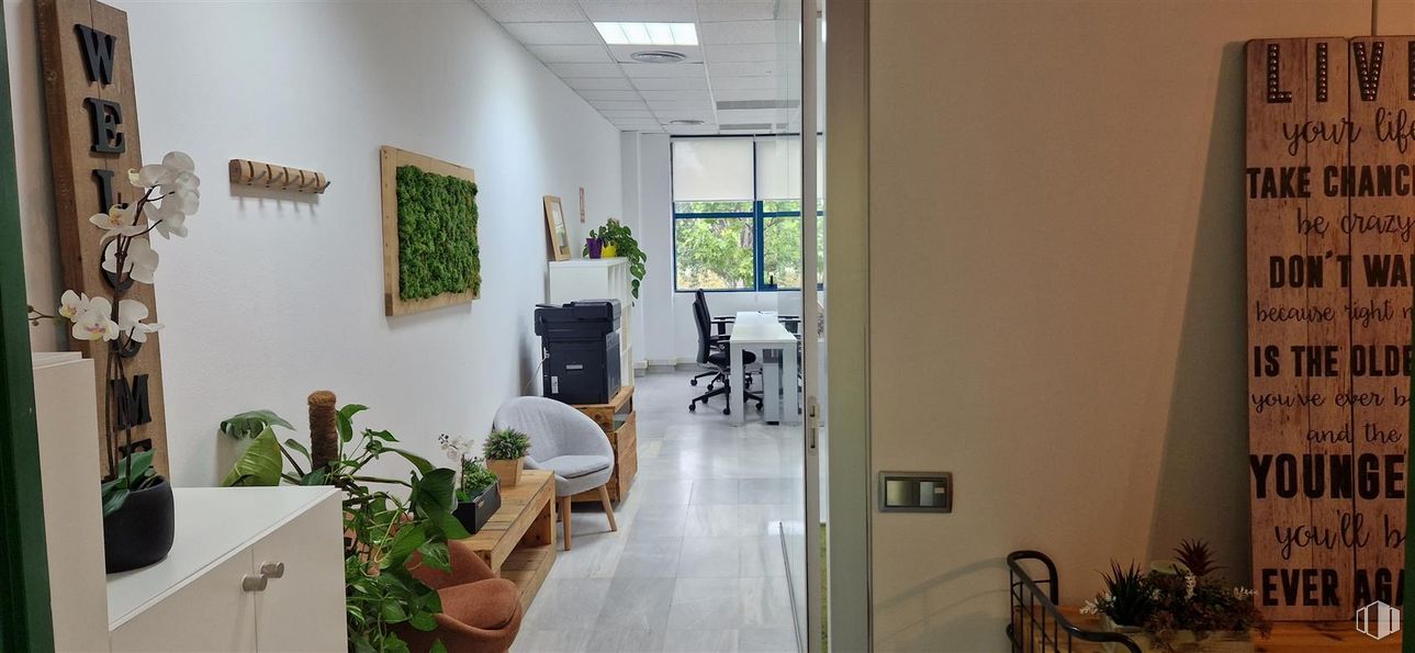 Oficina en alquiler en Calle Chile, 10, Las Rozas de Madrid, Madrid, 28290 con ventana, mueble, planta de interior, silla, planta, edificio, maceta, interiorismo, accesorio y mesa alrededor