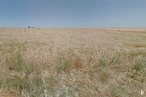 Land for sale at Los Hoyos, Brunete, Madrid, 28690 with sky, plant, natural landscape, agriculture, meadow, grassland, landscape, grass, herbaceous plant and prairie around