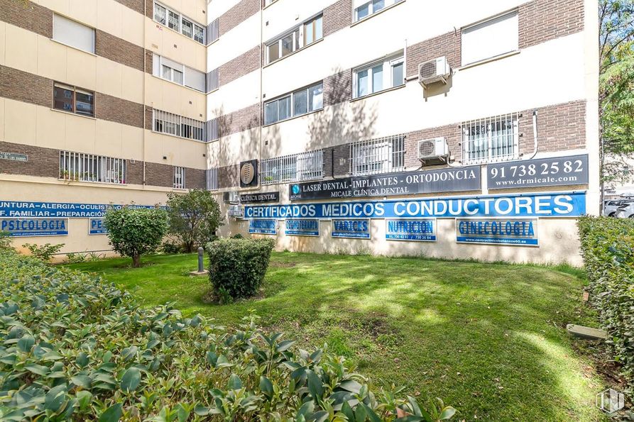 Local en alquiler en Avenida Betanzos, Fuencarral - El Pardo, Madrid, 28034 con ventana, edificio, planta, diseño urbano, árbol, condominio, hierba, zona residencial, cubierta vegetal y ciudad alrededor