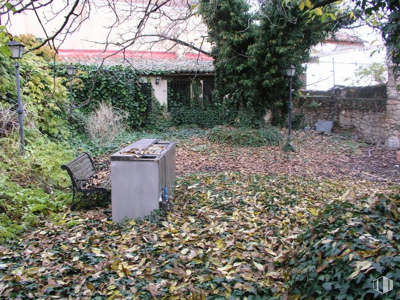 Retail for sale at Zona centro, Torrelaguna, Madrid, 28180 with bench, waste container, plant, leaf, natural landscape, branch, tree, grass, people in nature and biome around