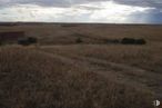 Land for sale at Paraje Carrascosilla, El Viso de San Juan, Toledo, 45215 with cloud, sky, plant, natural landscape, grass, landscape, grassland, horizon, prairie and event around