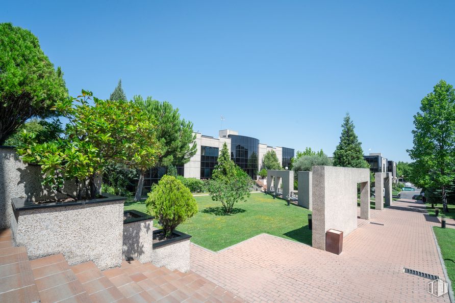 Oficina en alquiler en Edificio E, Calle Caléndula, 93, Alcobendas, Madrid, 28100 con planta de interior, cielo, planta, árbol, lote de tierra, césped, diseño urbano, edificio, bienes raíces, paisaje y arbusto alrededor