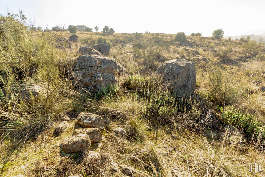 Land for sale at Urbanización La Pozuela, Toledo, 45004 with animal, sky, plant community, plant, natural landscape, bedrock, grassland, grass, landscape and formation around