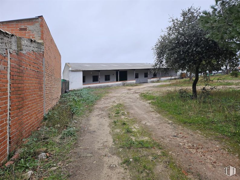 Nave en alquiler y venta en Centro Urbano, Carranque, Toledo, 45216 con casa, planta, cielo, ventana, árbol, lote de terreno, hierba, superficie de la carretera, paisaje y inmobiliario alrededor