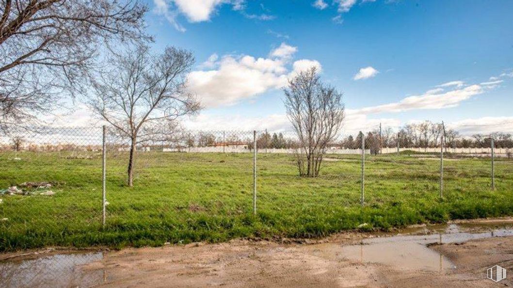 Land for sale at Avenida Aragón - Parcela T.3.5.402, 14, San Blas - Canillejas, Madrid, 28022 with cloud, sky, plant, daytime, tree, natural landscape, land lot, cumulus, grassland and plain around