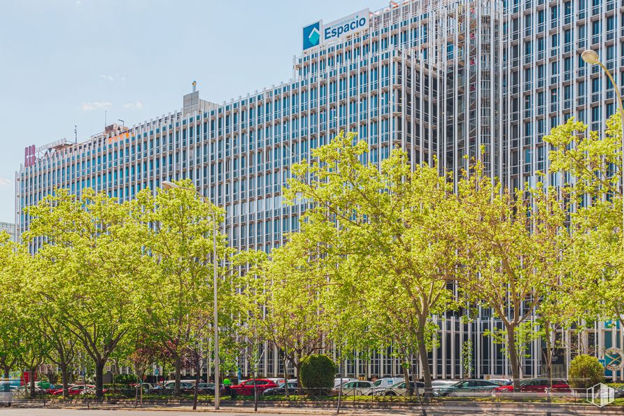 Oficina en alquiler en Paseo Castellana, 91, Tetuán, Madrid, 28046 con edificio, cielo, diseño urbano, bloque de pisos, bioma, árbol, condominio, planta leñosa, ciudad y edificio comercial alrededor