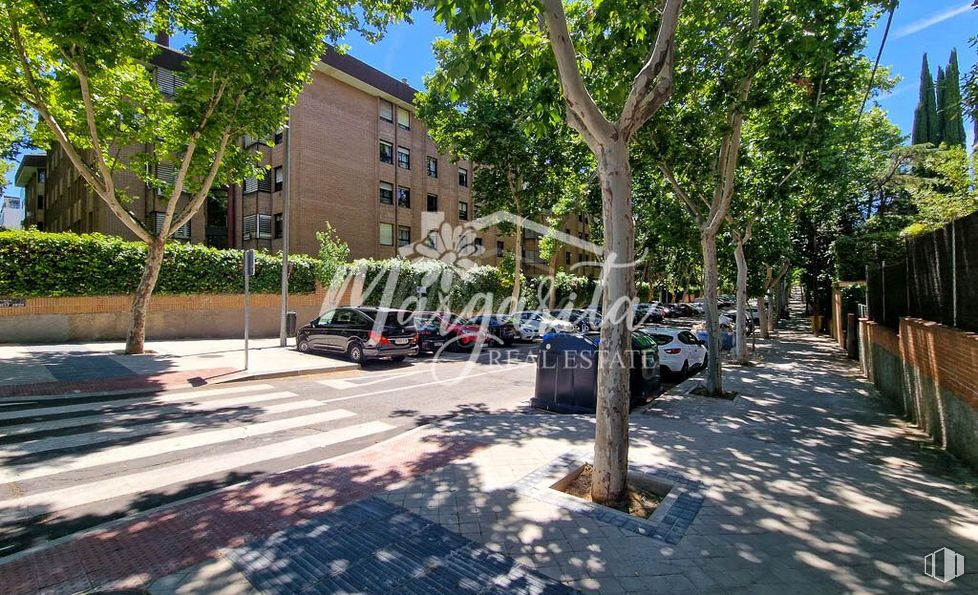 Local en venta en Barrio Atalaya, Ciudad Lineal, Madrid, 28033 con coche, edificio, durante el día, planta, neumático, superficie de la carretera, vehículo, sombra, árbol y ventana alrededor