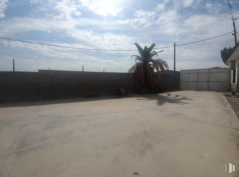 Industrial for sale at Paseo Estación, Villasequilla, Toledo, 45740 with houseplant, cloud, sky, land lot, plant, road surface, asphalt, arecales, landscape and tree around