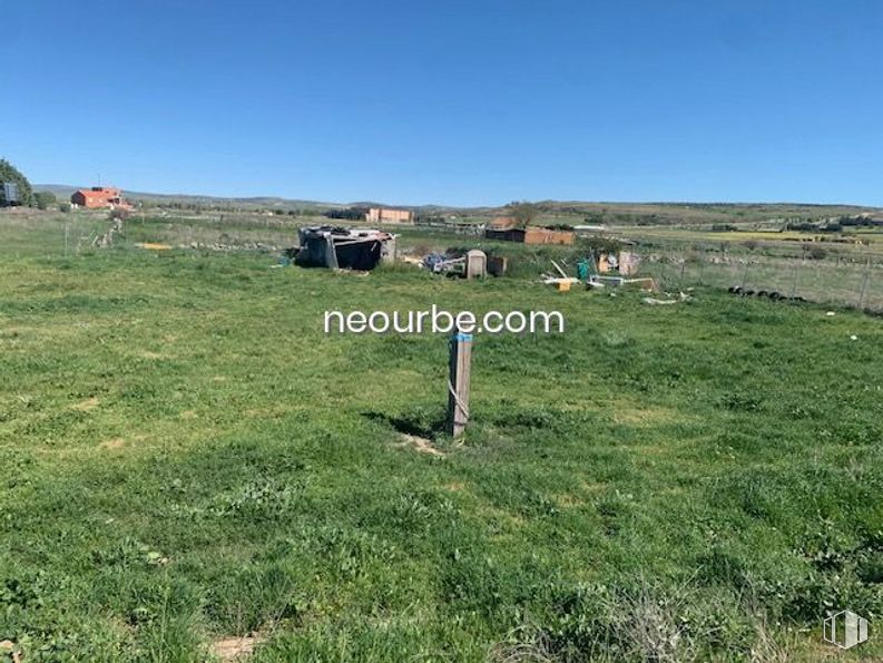 Land for sale at Calle Manuel Ciges Aparicio, Ávila, 05002 with sky, plant, natural landscape, land lot, tree, grass, landscape, groundcover, grassland and plain around