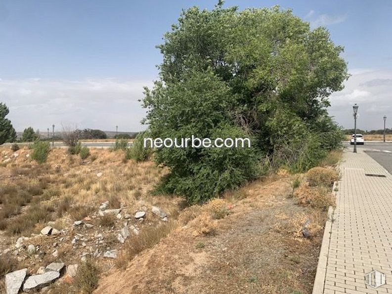 Land for sale at Calle Albacete, Ávila, 05004 with plant, sky, plant community, cloud, natural landscape, tree, land lot, grass, road surface and landscape around