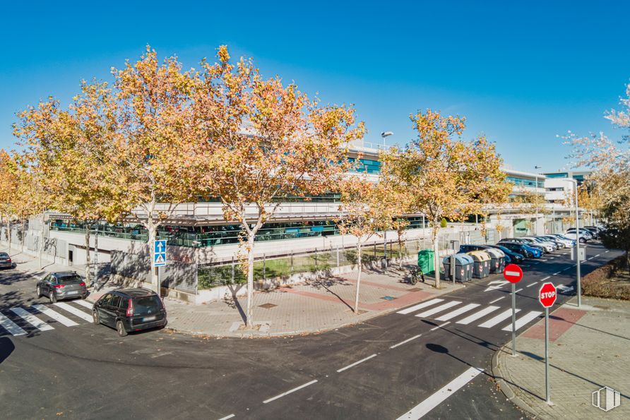 Oficina en venta en Calle Chile, Las Rozas de Madrid, Madrid, 28290 con coche, cielo, planta, edificio, vehículo, superficie de la carretera, infraestructura, asfalto, árbol y rueda alrededor