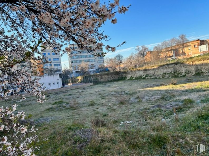 Suelo en alquiler en Calle Muguet, 15, Carabanchel, Madrid, 28044 con edificio, planta, cielo, vegetación, árbol, ramita, paisaje natural, hierba, flor y ciudad alrededor