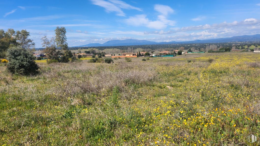 Land for sale at Zona Mirador de Fuente Romero, Hormigos, Toledo, 45919 with cloud, sky, plant, mountain, natural landscape, land lot, tree, plain, grassland and landscape around