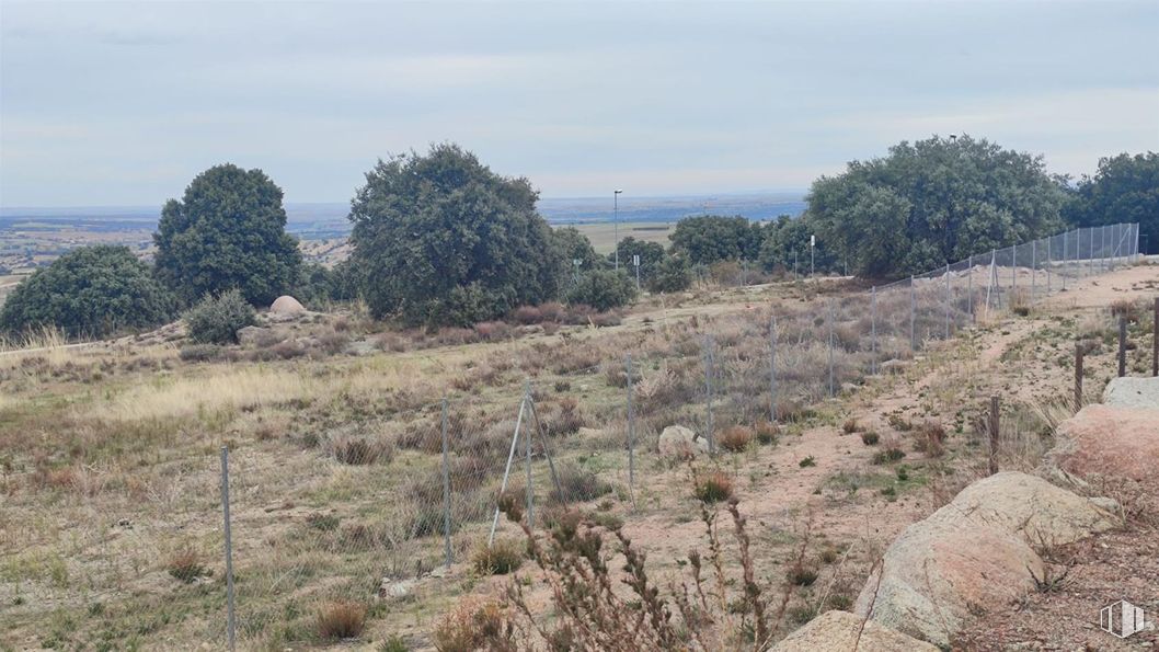 Suelo en venta en Paseo Olmos, Zarzuela del Monte, Segovia, 40152 con planta, cielo, nube, árbol, paisaje natural, lecho de roca, lote de terreno, hierba, paisaje y pradera alrededor