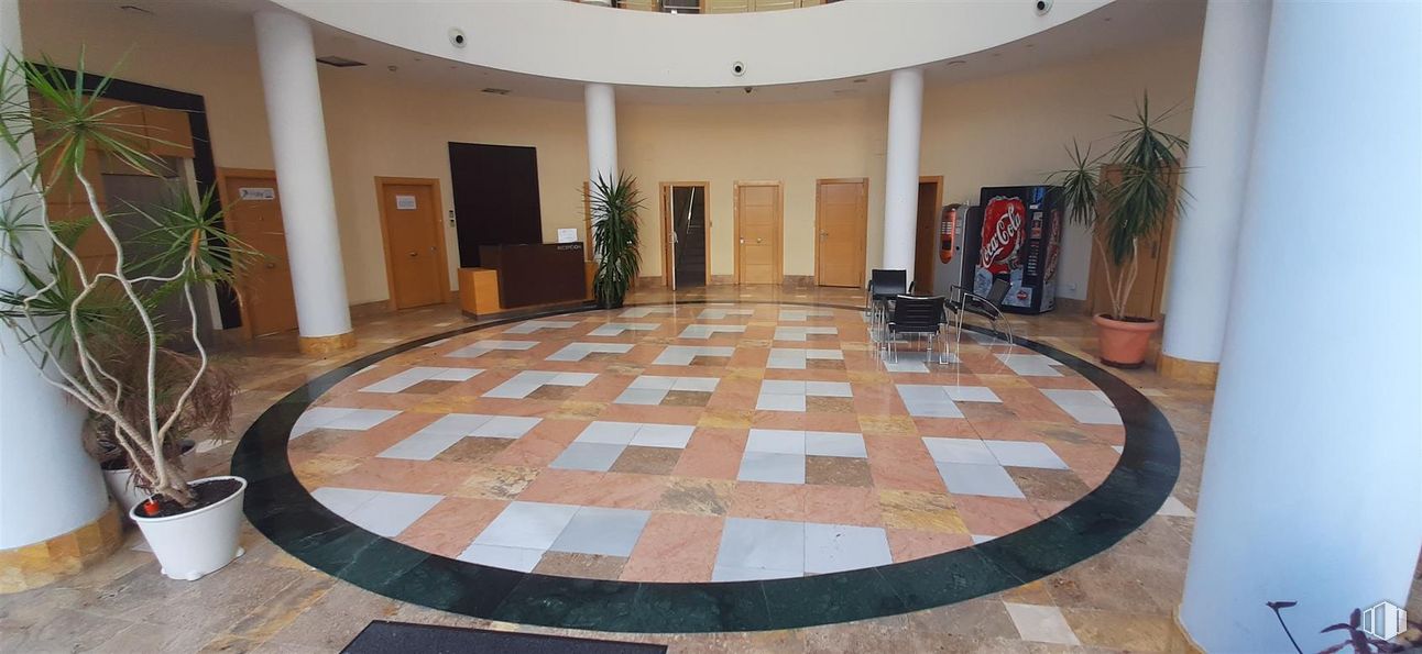 Office for sale at Zona estación, Pozuelo de Alarcón, Madrid, 28224 with houseplant, flowerpot, plant, tile flooring, wood, interior design, architecture, fixture, flooring and floor around