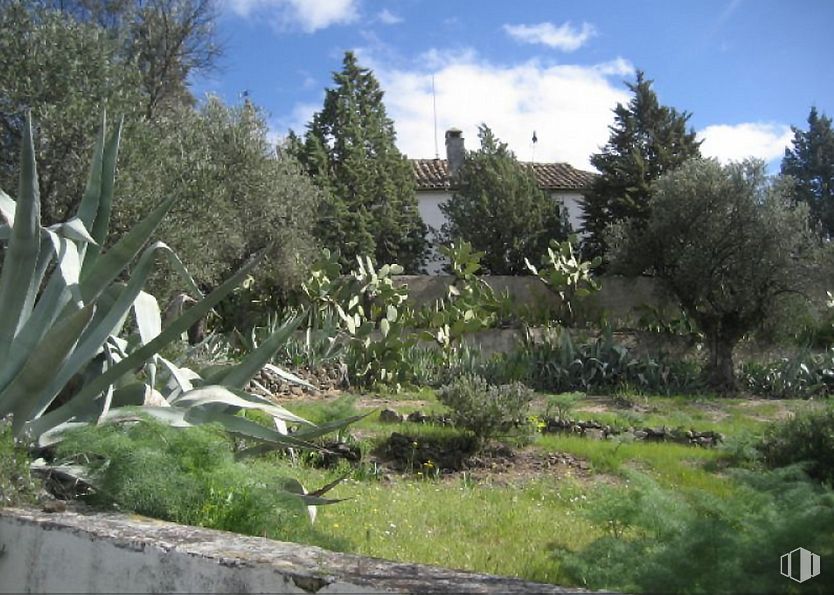 Suelo en venta en Callejón de Bastida, Toledo, 45004 con nube, planta, cielo, comunidad de plantas, edificio, árbol, ventana, paisaje natural, casa y hierba alrededor