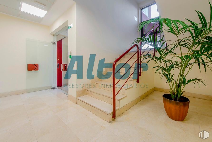 Oficina en venta en Calle San Romualdo, San Blas - Canillejas, Madrid, 28037 con maceta, planta de interior, ventana, suelos, suelo, interiorismo, techo, apartamento, suelo de baldosas y limpieza alrededor