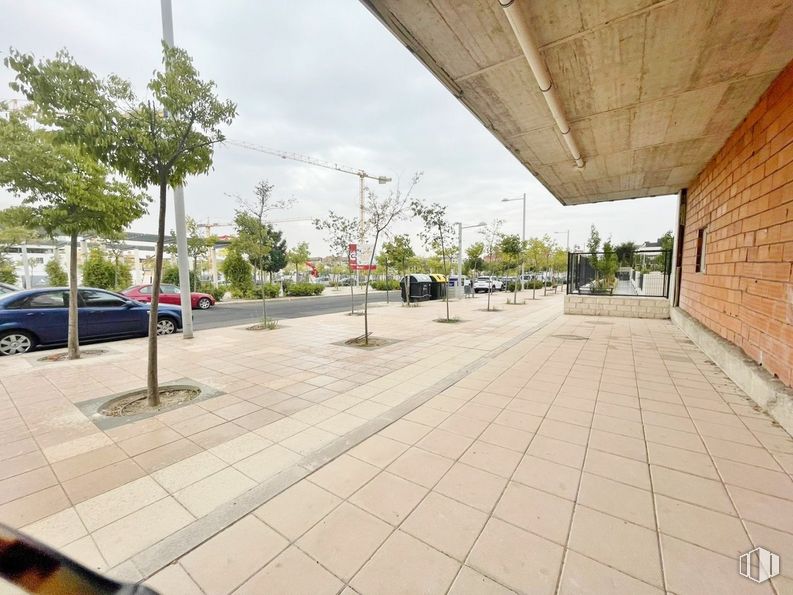 Local en alquiler y venta en Zona Tempranales, San Sebastián de los Reyes, Madrid, 28700 con coche, cielo, neumático, rueda, vehículo, nube, planta, árbol, edificio y superficie de la carretera alrededor