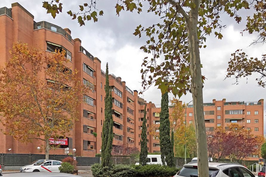 Oficina en alquiler en Calle Federico Rubio y Galí, 76 , Tetuán, Madrid, 28039 con edificio, ventana, cielo, planta, propiedad, nube, bloque de pisos, árbol, condominio y diseño urbano alrededor