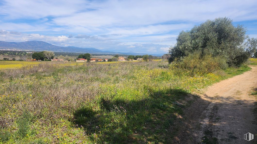 Land for sale at Zona Mirador de Fuente Romero, Hormigos, Toledo, 45919 with sky, cloud, plant, natural landscape, tree, land lot, flower, grass, grassland and plain around