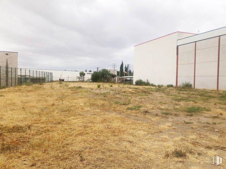 Suelo en venta en Carretera Ajalvir, Alcalá de Henares, Madrid, 28806 con edificio, cielo, nube, planta, árbol, llano, pradera, paisaje, zona rural y hierba alrededor