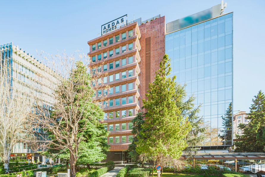 Oficina en alquiler en Paseo Castellana, 42, Salamanca, Madrid, 28046 con edificio, cielo, planta, día, propiedad, rascacielos, árbol, bloque de torre, arquitectura y diseño urbano alrededor