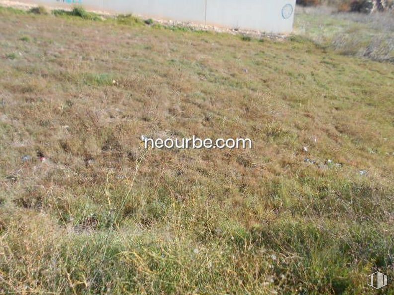 Suelo en venta en Camino Viejo de Tornadizos, Ávila, 05003 con planta, paisaje natural, hierba, pendiente, cobertura del suelo, pastizal, llanura, agricultura, paisaje y arbusto alrededor