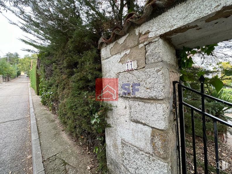 Land for sale at Carretera de Madrid, Miraflores de la Sierra, Madrid, 28792 with animal, plant, tree, slope, sky, road surface, landscape, grass, wood and shrub around