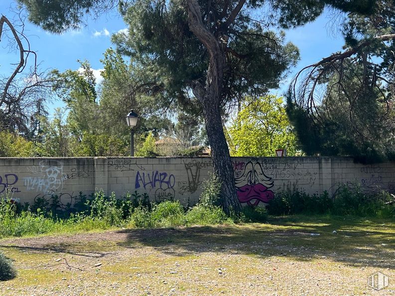 Suelo en venta en Calle Bolarque, Moncloa - Aravaca, Madrid, 28023 con planta, cielo, valla, lote de terreno, árbol, sombra, hierba, paisaje natural, vallado de viviendas y arbusto alrededor