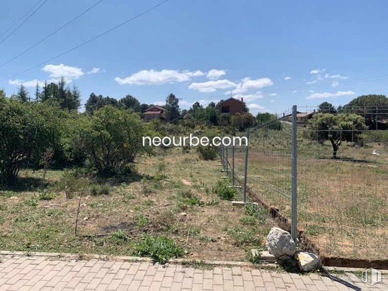 Land for sale at Casco urbano, Navalperal de Pinares, Ávila, 05240 with animal, cloud, plant, sky, plant community, land lot, tree, vegetation, grass and road surface around