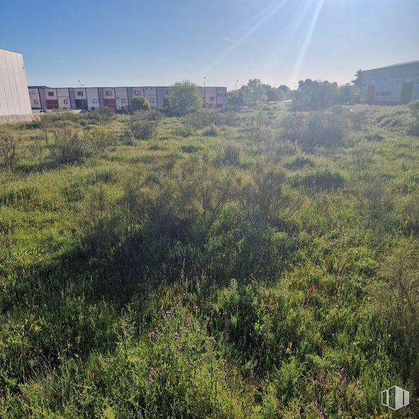 Suelo en venta en Avenida Córdoba, 5, Valdemoro, Madrid, 28341 con edificio, cielo, comunidad vegetal, planta, ecorregión, hoja, entorno natural, paisaje natural, lote de terreno y luz solar alrededor