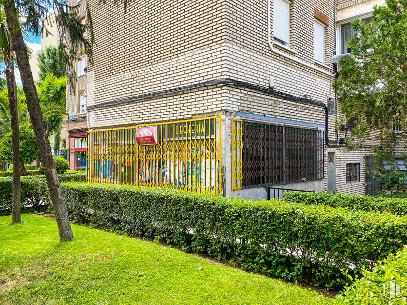 Retail for sale at Calle Veracruz, 8, Móstoles, Madrid, 28938 with window, building, plant, tree, grass, shade, residential area, groundcover, shrub and real estate around