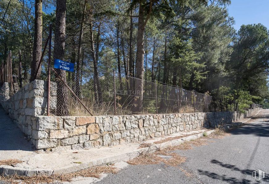 Land for sale at Calle Pino, Las Navas del Marqués, Ávila, 05239 with sky, road surface, tree, bedrock, wood, slope, plant, trunk, landscape and stone wall around