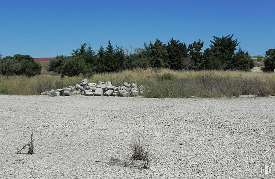 Suelo en venta en Parcela Centro El Salobrillo, 13 263, Ribatejada, Madrid, 28815 con cielo, planta, comunidad de plantas, paisaje natural, árbol, lote de tierra, hierba, lecho de roca, llanura y paisaje alrededor