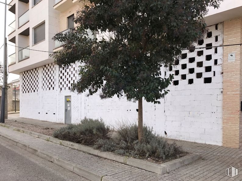 Retail for sale at Calle Arrabal San Lázaro, 11, Ocaña, Toledo, 45300 with plant, building, window, road surface, asphalt, urban design, tree, neighbourhood, woody plant and sidewalk around