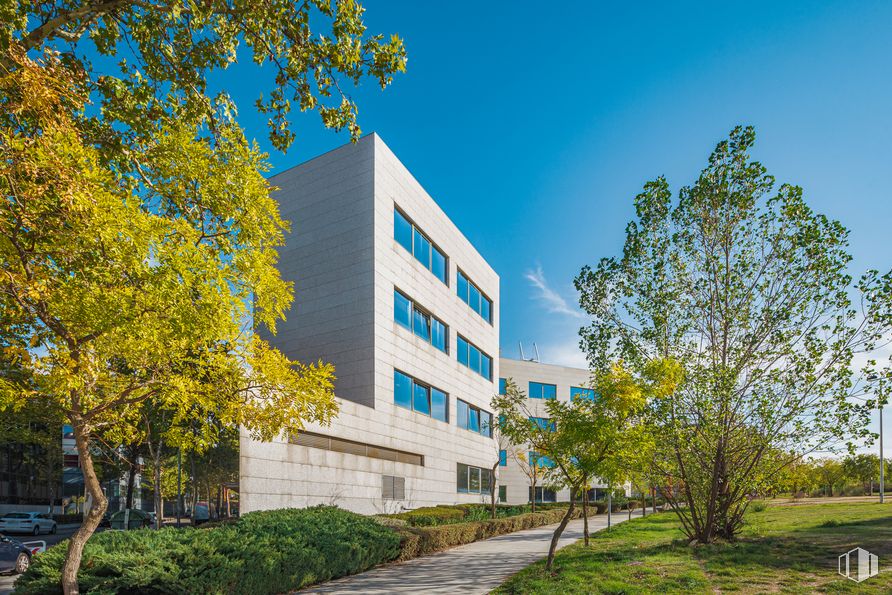 Oficina en alquiler en Calle Teide, 3, San Sebastián de los Reyes, Madrid, 28700 con ventana, edificio, planta, cielo, día, propiedad, naturaleza, árbol, rama y arquitectura alrededor